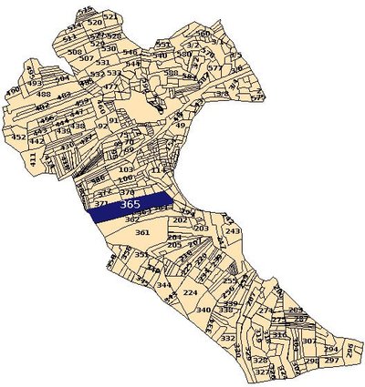 Digitally generated Maharashtra Bhunaksha village map showing survey numbers and boundaries